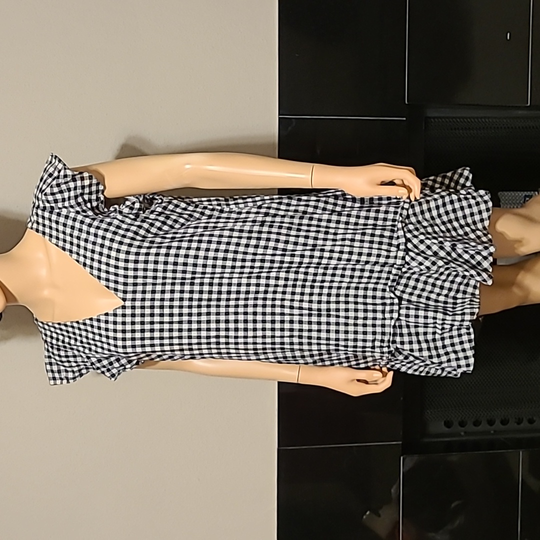 Brand New J Crew Dress